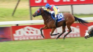 MIDNIGHT CRYSTAL - RACE 7 #turffontein 04-05-2023