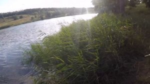 Да Ладно, КАРАСЬ на КОРВАЛОЛ? Ловля Крупного Карася на Корвалол и Салфетку!