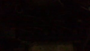 стук в двигателе f20B Honda Accord