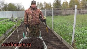 Как и когда правильно вносить навоз в грядки