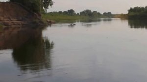 Южный Аппендикс России*РЫБАЛКА НА ИЛЕКЕ У ПОКРОВКИ*FISHING ON THE RIVER ILEK