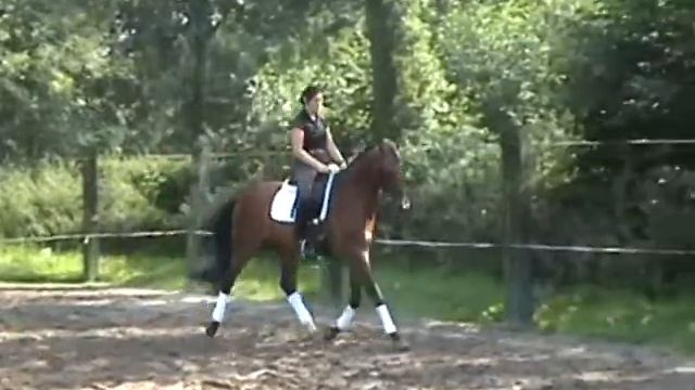 Torinto смотреть онлайн