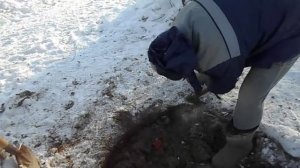 глубина промерзания  на практике вскрытие мерзлоты вручную