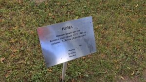 город Ломоносов видео
