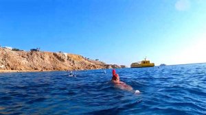 Снорклинг на коралловом пляже Iberotel Palace