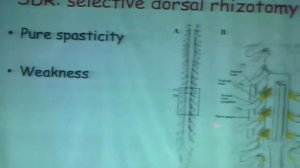 Introduction to Cerebral Palsy, Prof. Hisham Abdel-Ghani. Part 1