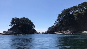 Бухта Теляковскго, Приморье