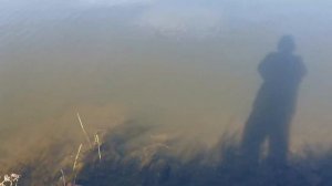 Оценка Озера Мясокомбинат