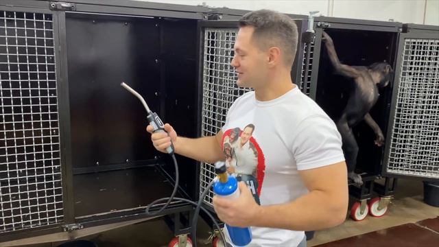 Как избавиться от тараканов с помощью ОГНЯ! | Дан Запашный и новый анбоксинг от обезьяны Бони смотреть онлайн