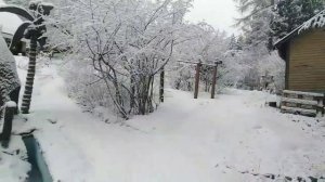 Дальнобой посреди жуткого места — «Patsaspuisto»!!! Женёк 10 Rus TV