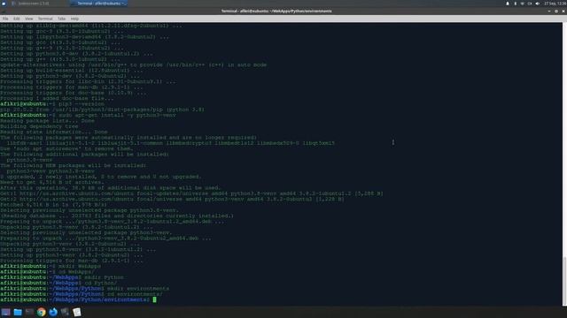 How to Install Python Package Manager and Virtual Environment