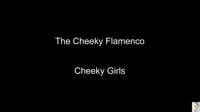The Cheeky Flamenco (The Cheeky Girls) BT смотреть онлайн