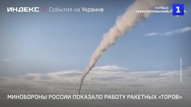 Минобороны России показало работу ракетных «Торов»