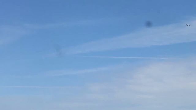 Chemtrails 2015-07-23 Stratospheric aerosol injection - Worthing смотреть онлайн