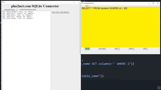 Tkinter Query window to execute SQL commands SELECT UPDATE DROP with WHERE to learn and show result