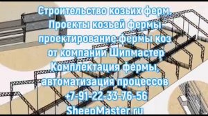 Мелкий Рогатый Скот: Разведение и содержание