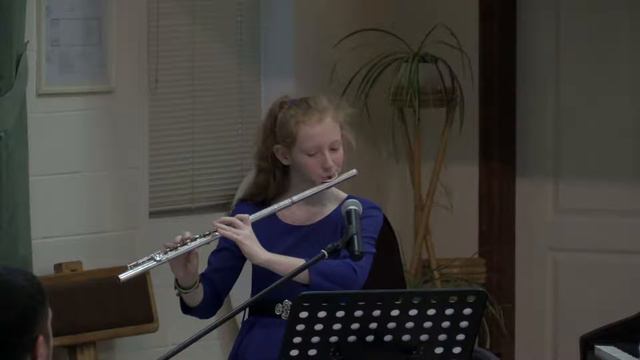 Flute and piano | «WHEN DARKNESS FALLS» | Secret Garden | Вероника Щербакова | 22.10.2016 смотреть онлайн