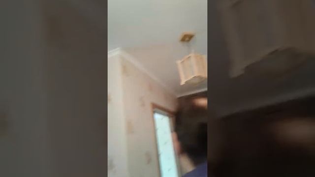 Пристовы вселяют капитана полиции к алкоголику смотреть онлайн