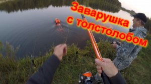 Заварушка с толстолобом