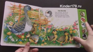 Музыкальная книга "Кря-кря" Кто как говорит? Азбукварик. Видео-обзор