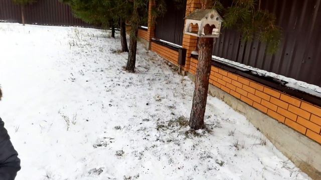Зимние развлечения!