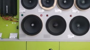 DL Audio Phoenix Hybrid Neo 200 vs Ural AS-PT200 Patriot NEO | Новогодний выпуск
