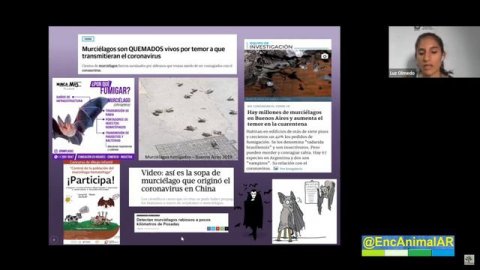 Naturaleza Viviente – Mamíferos con alas · Aliados de los humanos