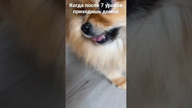 Когда после 7 уроков приходишь домой смотреть онлайн