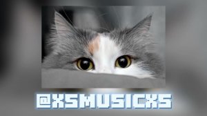 SIVCHIK, ПАША МОРИС - Ну погоди speed up