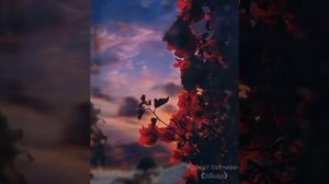 Роберт Катчиев- Ийнар (Мен сюймекликден) муз.и сл. Альберта Узденова