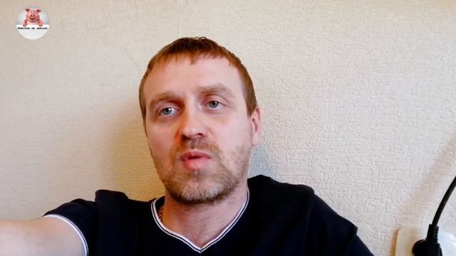 Какую породу свиней выбрать?Как реализовать мясо?