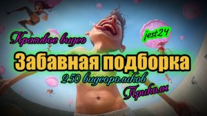 Приколы / Забавная подборка / 250 видеороликов / Красивое видео