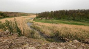 Ботанический памятник природы "Чердаклы"