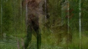 Про зайца Песня на стихи Николая Рубцова