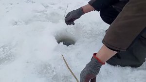 Зимняя рыбалка. Ловля на косынки
