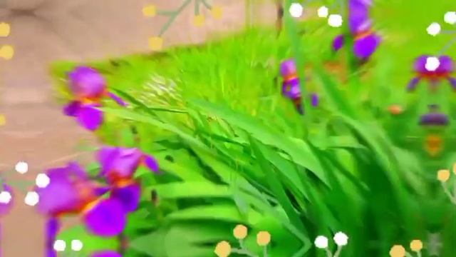 ???Доброго утра благословенного дня!??Красивое музыкальное пожелание доброго утра?