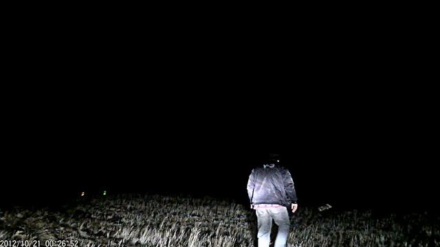 Заяц vs подводные охотники.mp4 смотреть онлайн