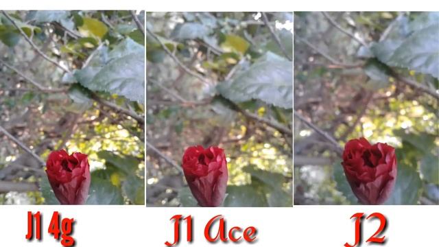 Samsung Galaxy J1 4g Camera Review Vs J2 Vs J1 Ace