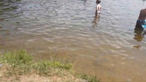 Клязьминское Водохранилище . Бухта Тихая . пляж отдых . залив !!!