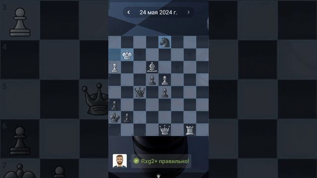 51. Chess quests #shorts - смотреть онлайн короткое видео (shorts) от ...