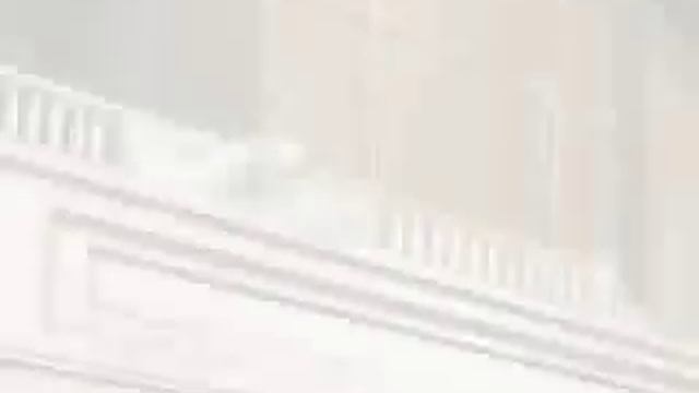 Хост клуб Оранской школы - Короли ночной вероны AMV смотреть онлайн