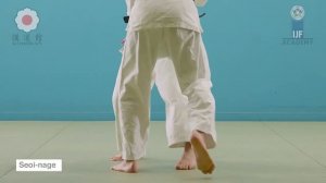Seoi nage(бросок через спину) NAGE WAZA. Judo. Дзюдо броски.