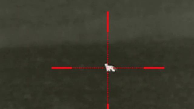 Hunting fox with IRAY RICO RL42 LRF смотреть онлайн