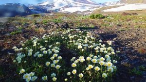 Уникальная красота Камчатки = Михаил Закарьян= Камчатка