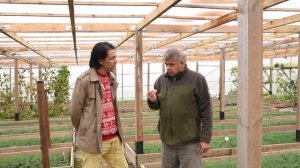 Иван Санжаров Кедры