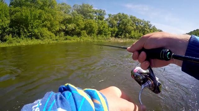 Поездка на Верхний Дон. Ловим "белого" хищника | ВихровLIFE смотреть онлайн