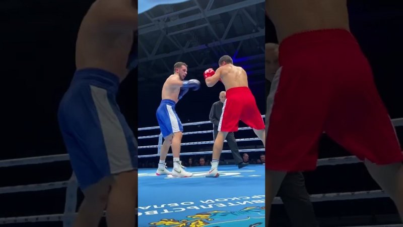 «Бокс на Волге». Команда «Динамо» победила сборную мира - 6:1