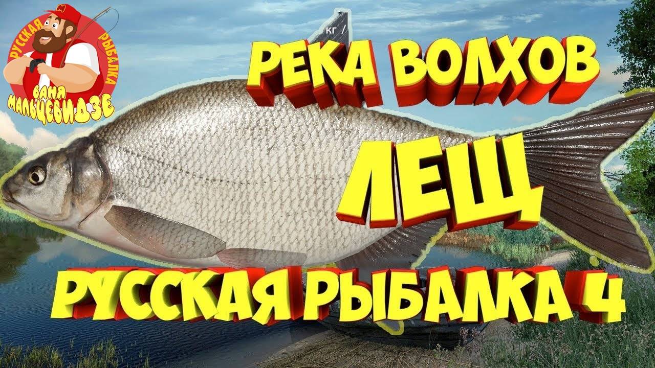 Лещ на реке Волхове. Точка активирована! Русская Рыбалка 4. смотреть онлайн