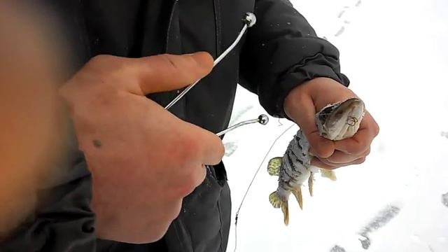 Зимний улов смотреть онлайн