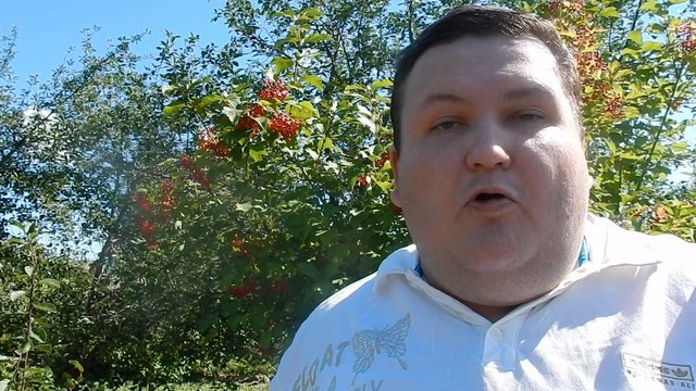 Россия и Америка